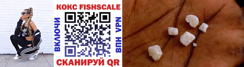 COCAIN Fish Scale где купить Котлас
