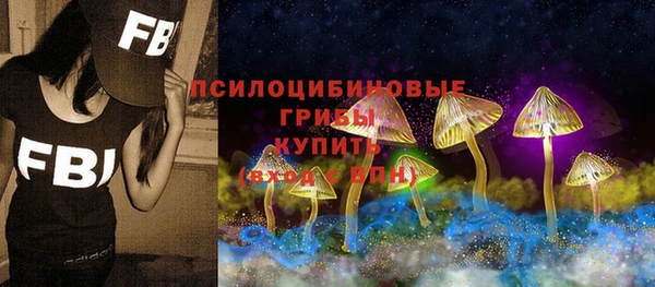 ешки Алзамай