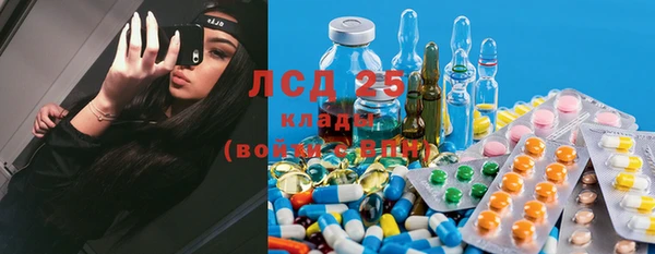 ешки Алзамай
