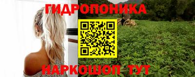 стаф Донской