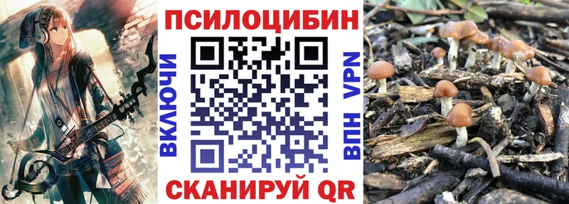 закладка  Котлас  Галлюциногенные грибы GOLDEN TEACHER 