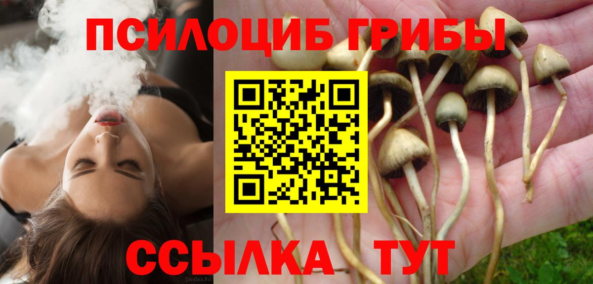 Котлас  продажа наркотиков  Вход с VPN  Галлюциногенные грибы прущие грибы  Галлюциногенные грибы ЛСД 